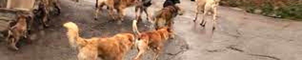 2520D988D984DAAFD8B1D8AF