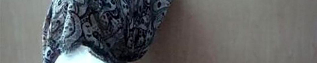 2520D8B9D981D8AA2520D8B4D8AFD985