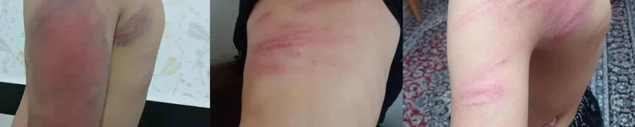 D8A8D8AFD986DB8C_D8AFD8A7D986D8B4D8A7D985D988D8B2_pGfW__v1308x687__box_001488782